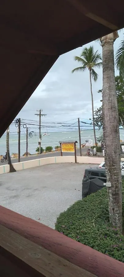 Hotel Guest House My Way Las Terrenas